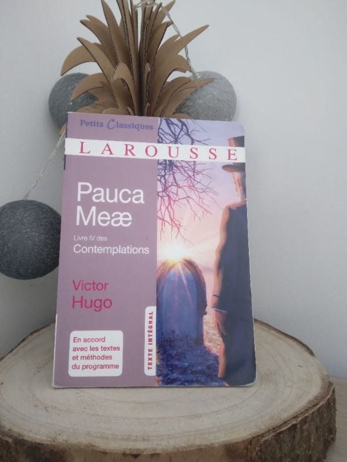 Livre pauca Meae