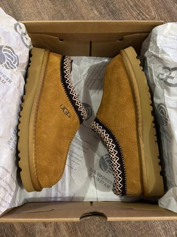 Ugg tasman