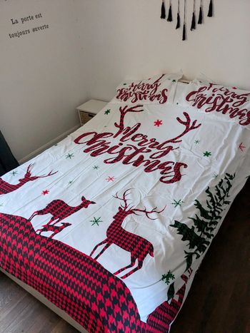 Housse de couette et 2 coussins 240*220