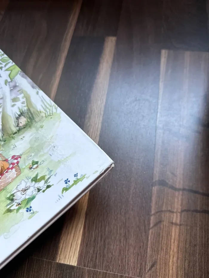 Livre enfant - photo numéro 2