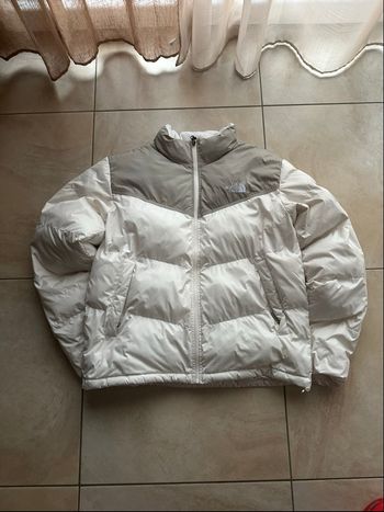 Veste the north face