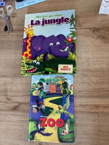 Lot 2 livres jungle et zoo