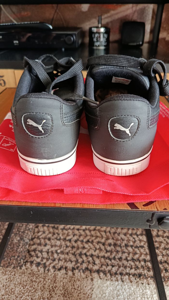 Puma noires - photo numéro 7