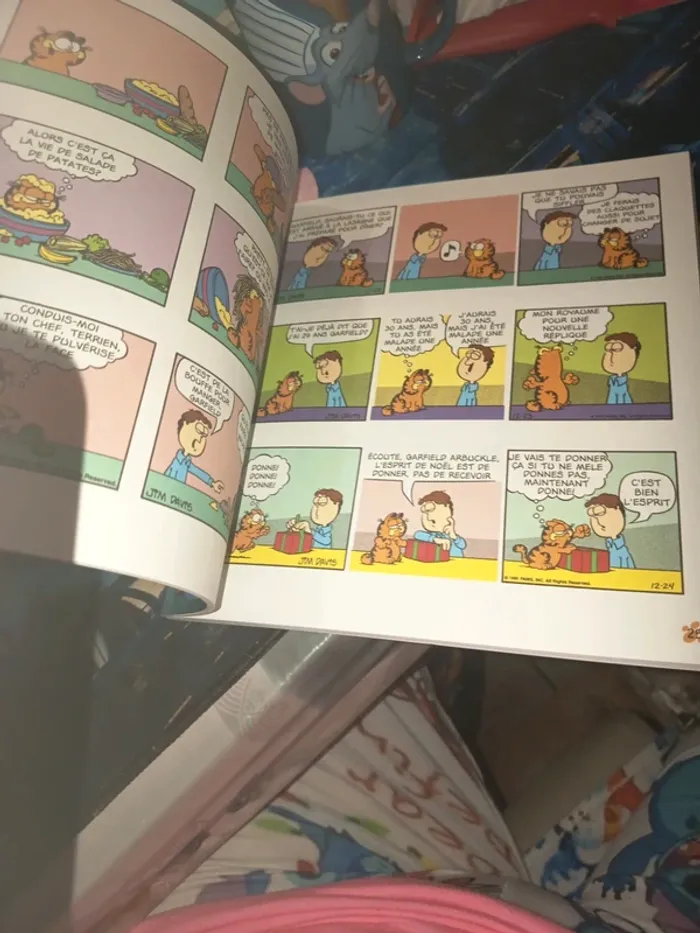 Garfield 33 - photo numéro 5
