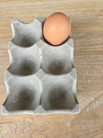Boîte à œufs