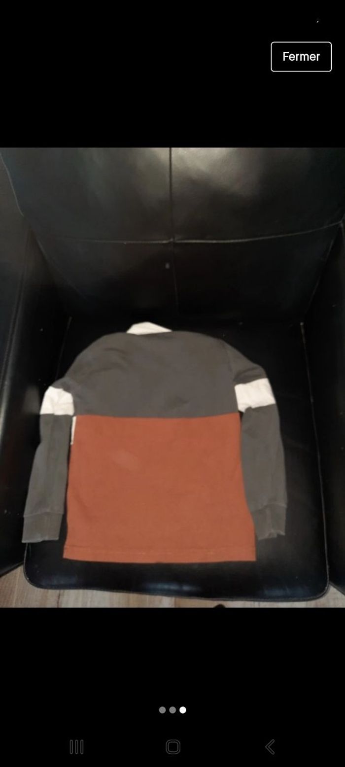 Polo - photo numéro 2