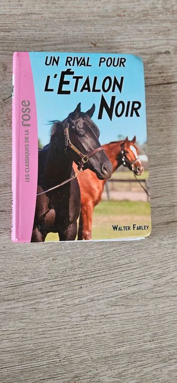 Livre enfant L Etalon Noir : un rival pour l étalon noi de Walter Farley, bon état