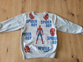 Pull bleu spiderman 