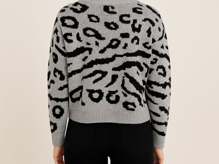 Pull zebré - photo numéro 2