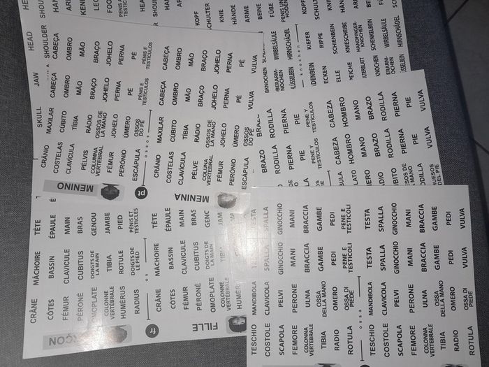 Miniland educational - puzzle schéma corporel inclusif fille / garçon - photo numéro 8