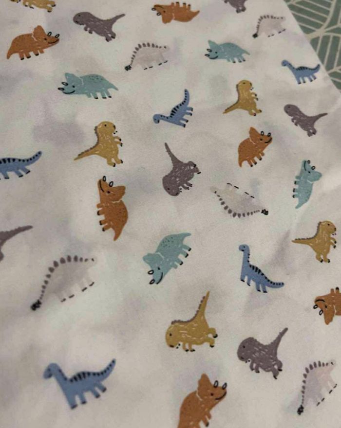 Sac de Noe - photo numéro 2