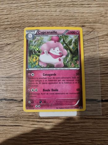 Carte pokémon cupcanaille holo xy15 promo anneé 2014