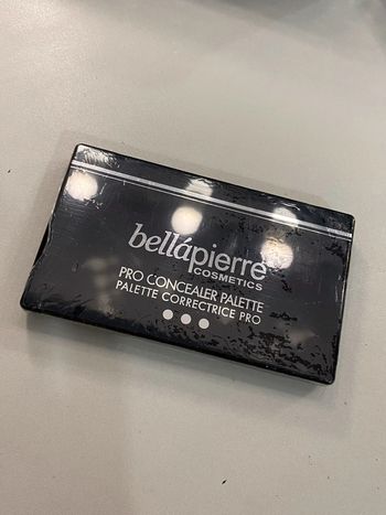 Palette correcteur bellapierre