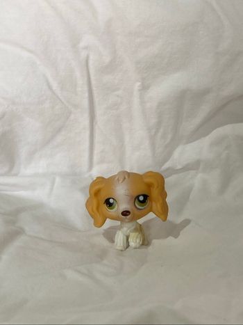 lps cocker