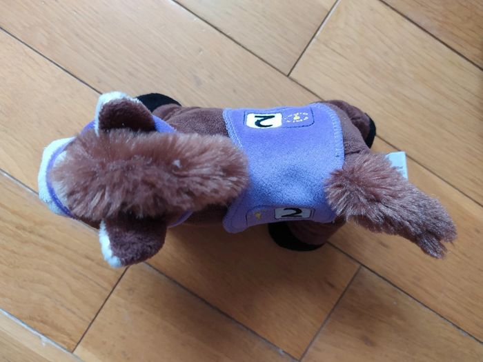 Cheval numéro 2 gipsy - photo numéro 5