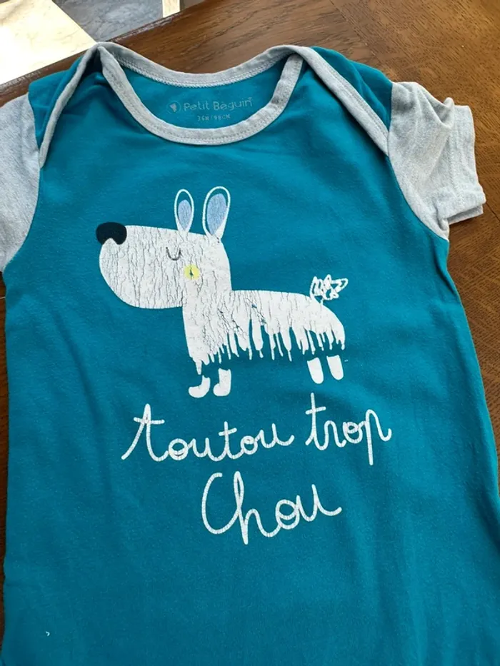 Lot de 9 bodies petit béguin 3 ans - photo numéro 6
