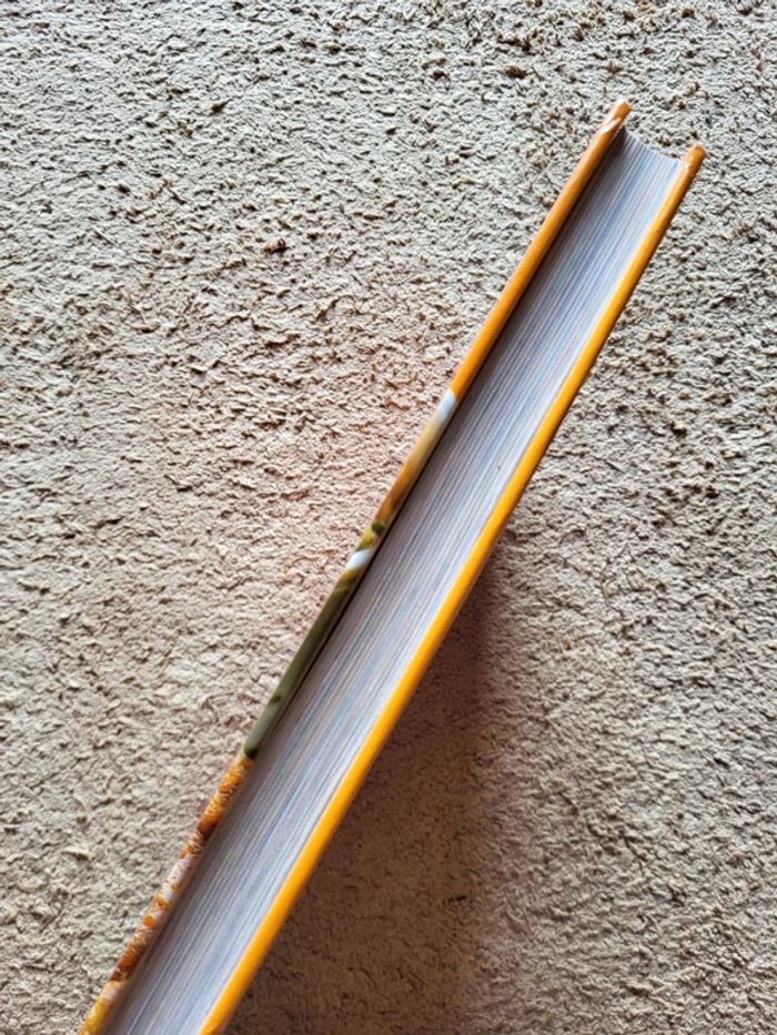 Livre de recettes de cuisine autour du poulet - photo numéro 3