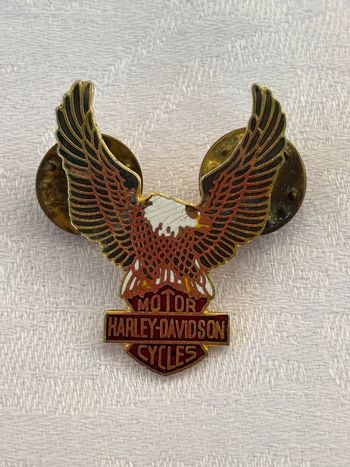 Pin’s Harley-Davidson – Collector Biker Vintage