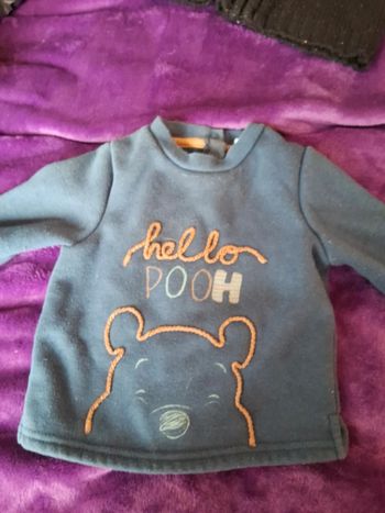 Pull Winnie l ourson