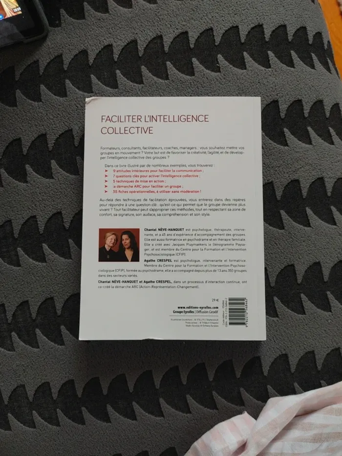Faciliter l'intelligence collective - photo numéro 2