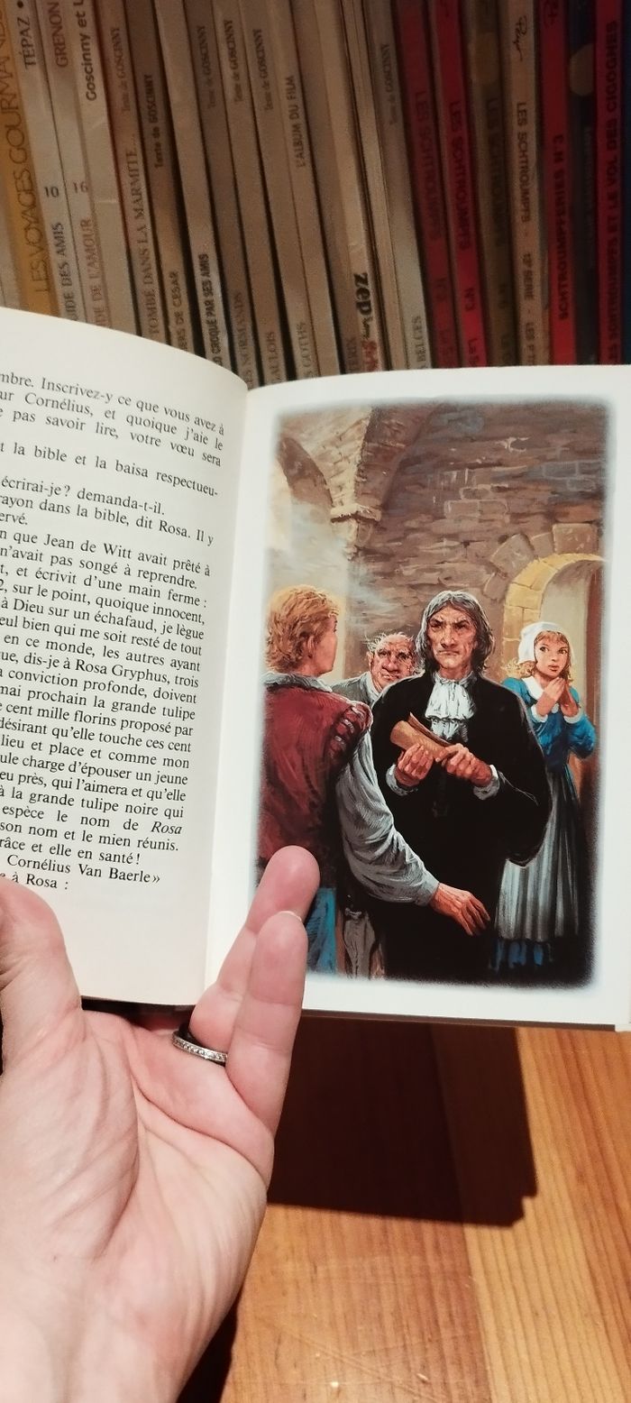 Livre vintage La tulipe noire - photo numéro 4