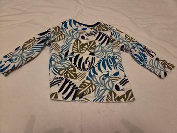 Vend T-Shirt manches longues style  jungle multicolores taille  12 mois Du pareil au meme