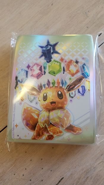 Protèges cartes Pokémon 
