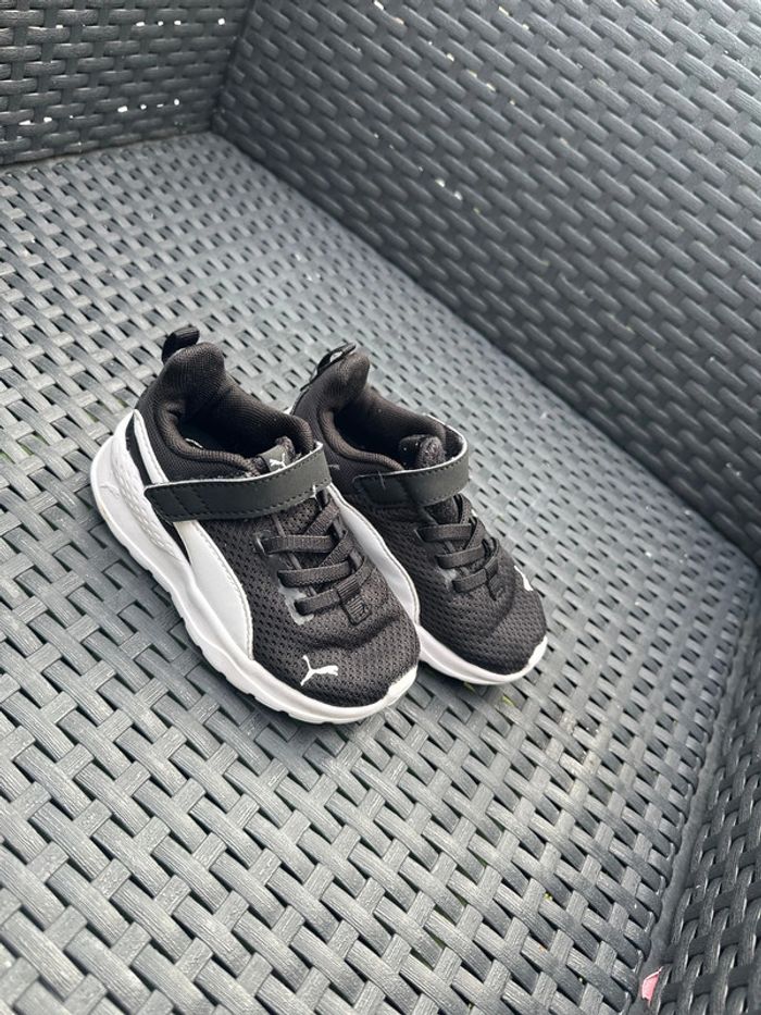 Puma bébé - photo numéro 2