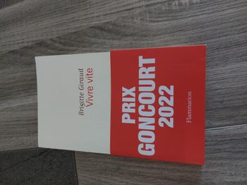 Lot roman prix Goncourt 2022 et 5 livres pocket