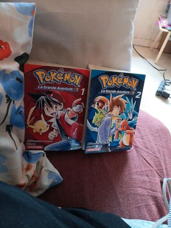 Lot 2 gros manga pokemon de 2014 la grande aventure pas de vinted go