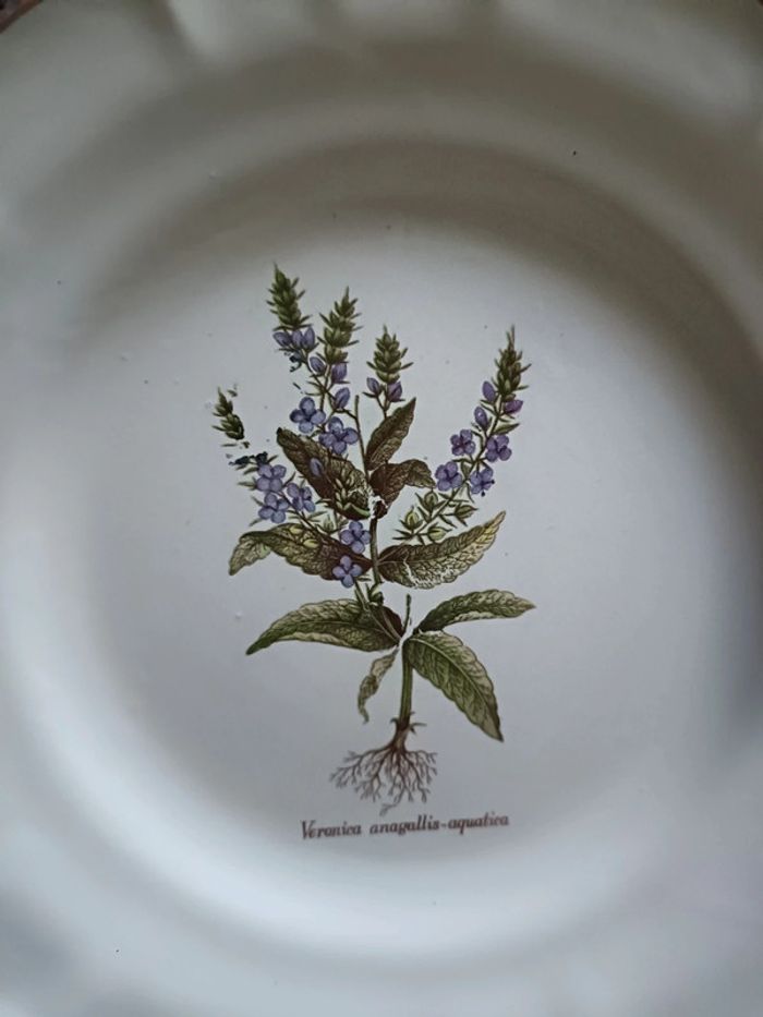 Lot de 8 assiettes vinteges herbes aromatiques - photo numéro 4