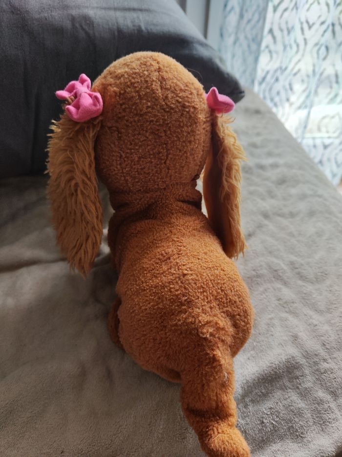 Chienne - photo numéro 3
