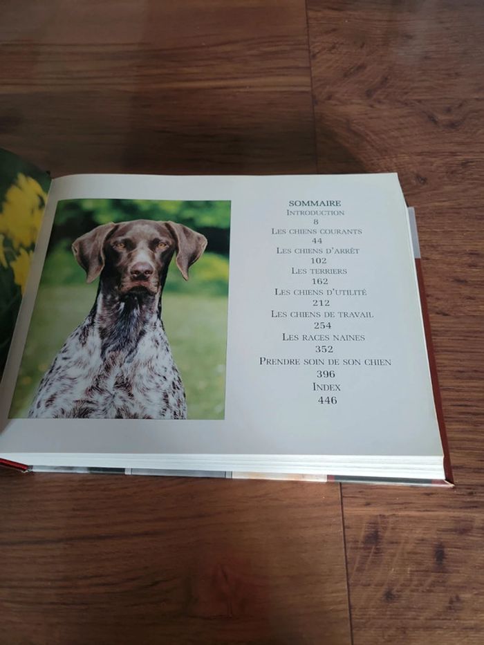 Livre sur les chiens - photo numéro 5