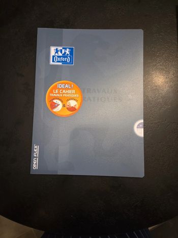 Cahier Traveaux Pratique Oxford