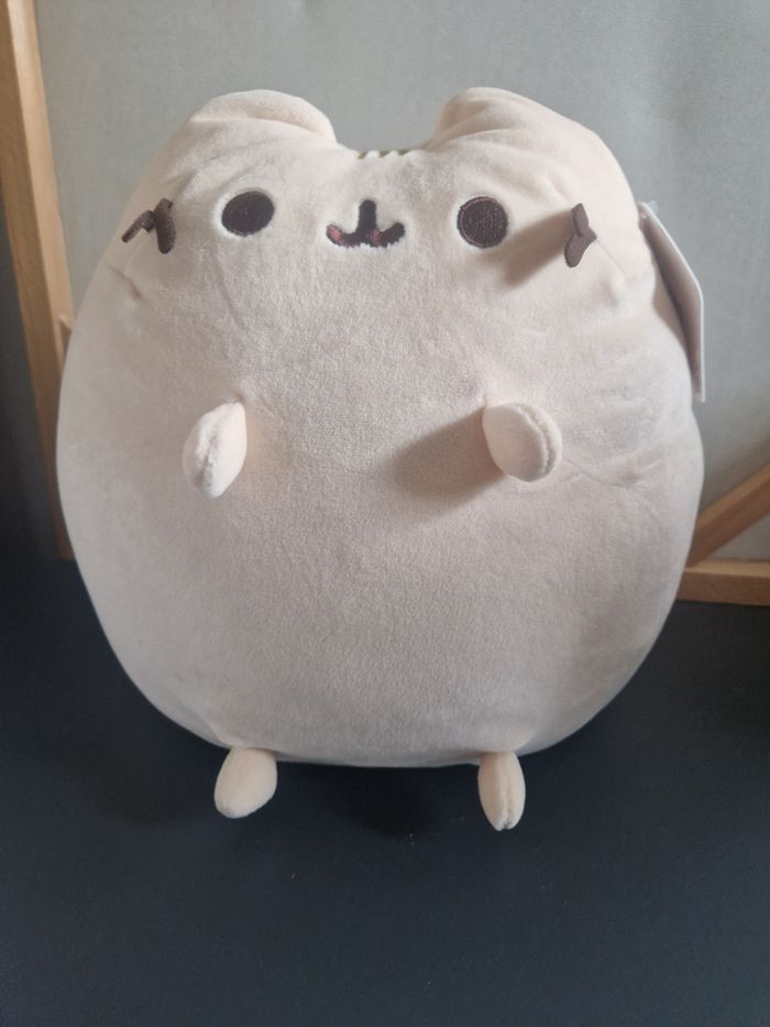 Peluche pusheen