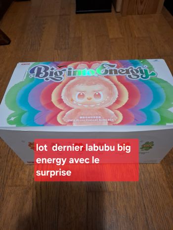 Lot de 6 labubu big energy