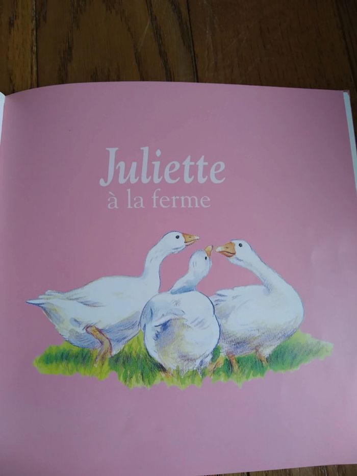 Livre Juliette - photo numéro 5