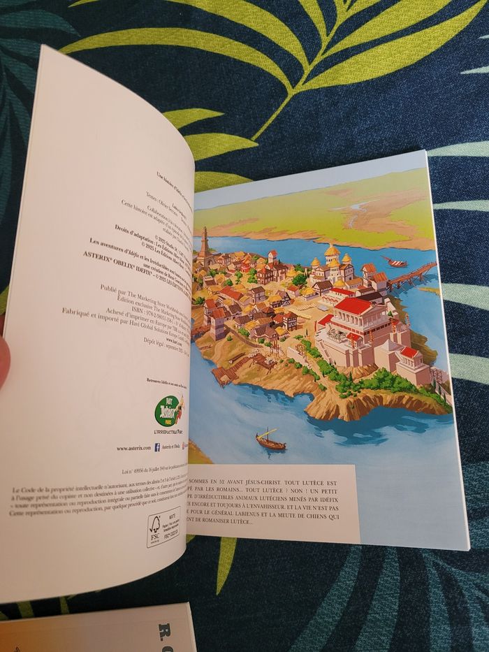 Livre idefix et les irréductibles lutece brûle t il - photo numéro 8