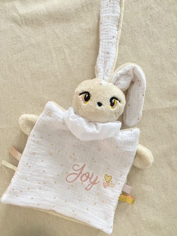Doudou - photo numéro 7