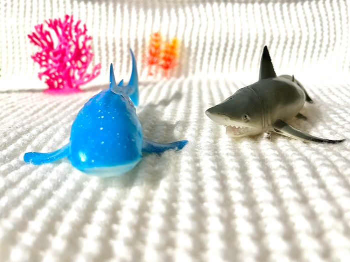 Crabe, requins, tortue, cage, hippocampe, algue, calamar. - photo numéro 8
