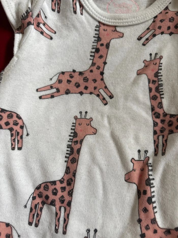 Bobine girafe - photo numéro 2