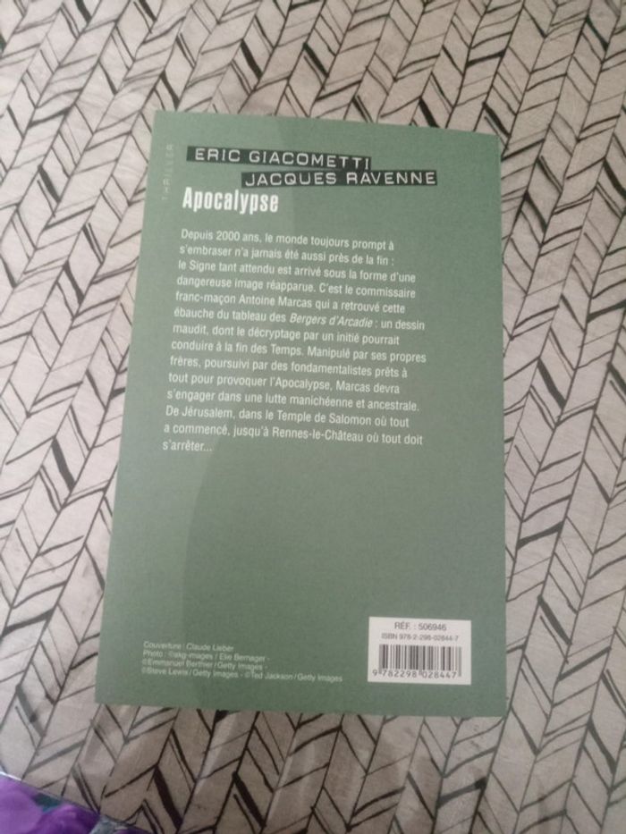 Roman : " Apocalypse ". - photo numéro 2
