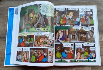 La belle au bois dormant