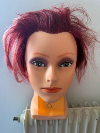 Tête malléable professionnelle Raphael Perrier - Cheveux Colorés (Rouge/Bourgogne)