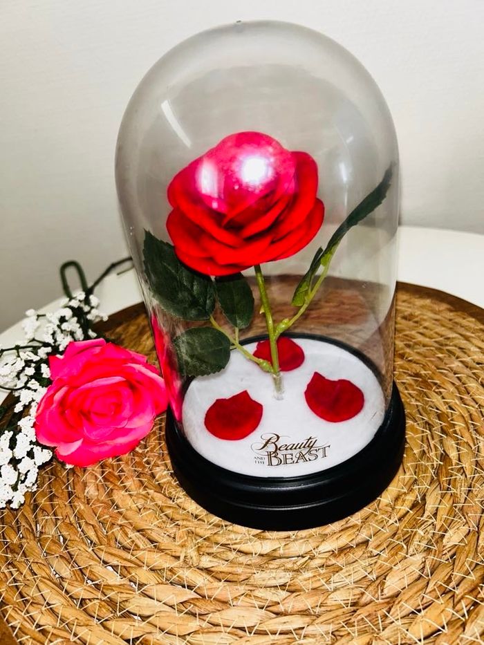 Rose éternelle