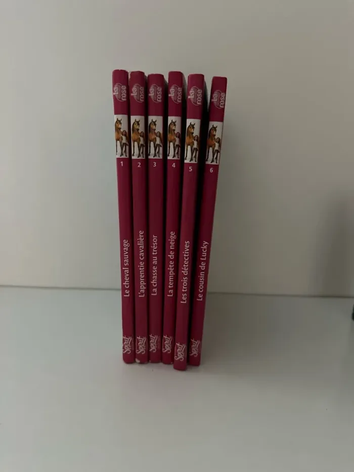 Livres Spirit - photo numéro 2