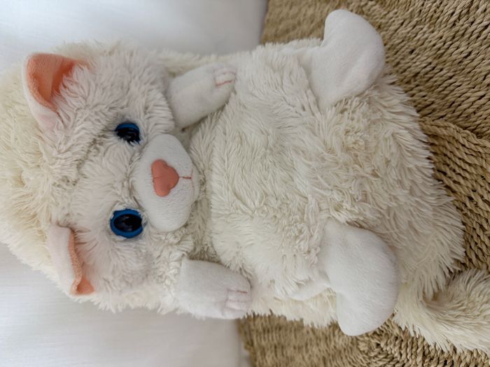 doudou chat persan blanc peluche cali pets dujardin - photo numéro 6