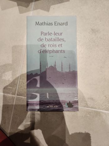 Livre : parle leur de bzttaille, de rois et d'éléphants