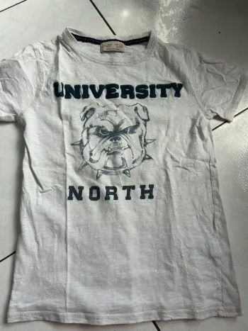 TEE shirt zara boys