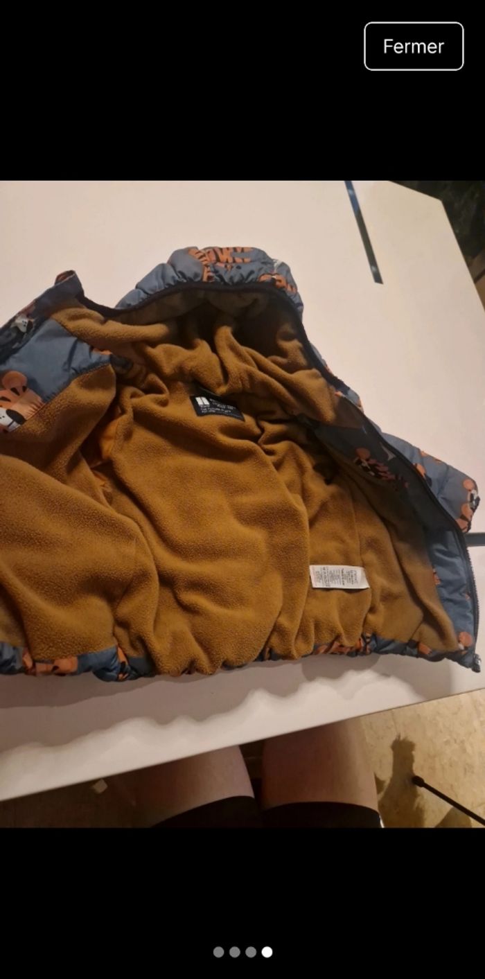 Manteau tigrou - photo numéro 4